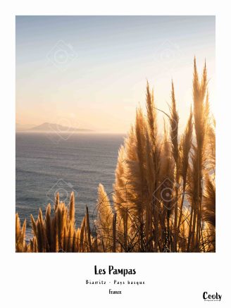 Affiche photo originale des pampas Biarritz Pays basque | Coolyposter - belles affiche photo du pays basque souvenir